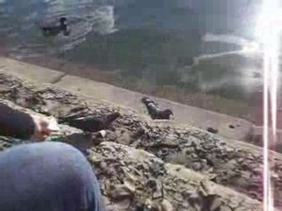 Nadia qui donne a mangé aux pigeons