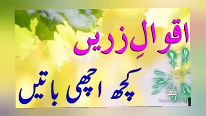 Aqwal E zareen|| Mola Ali || viral video