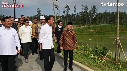 Jokowi Klaim Kualitas Udara IKN Lebih Baik Dibandingkan Singapura, Walhi Anggap Pencitraan