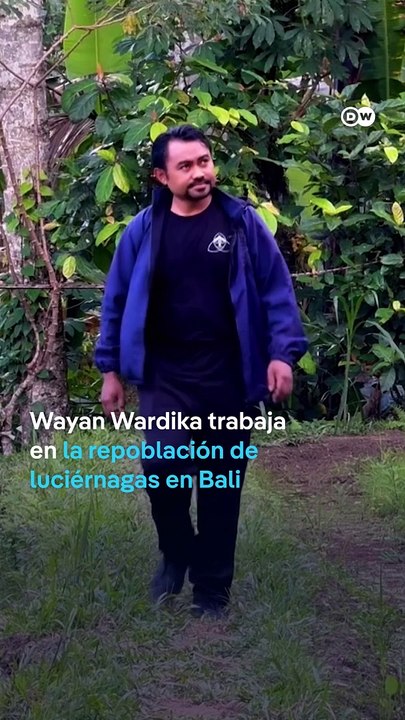 Bali impone un impuesto turístico para la preservación ambiental