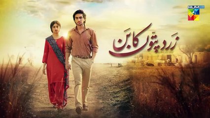 Zard Patton Ka Bunn - Ep 15 Promo - Sunday At 08 Pm Only On HUM TV [ Sajal Ali & Hamza Sohail ]