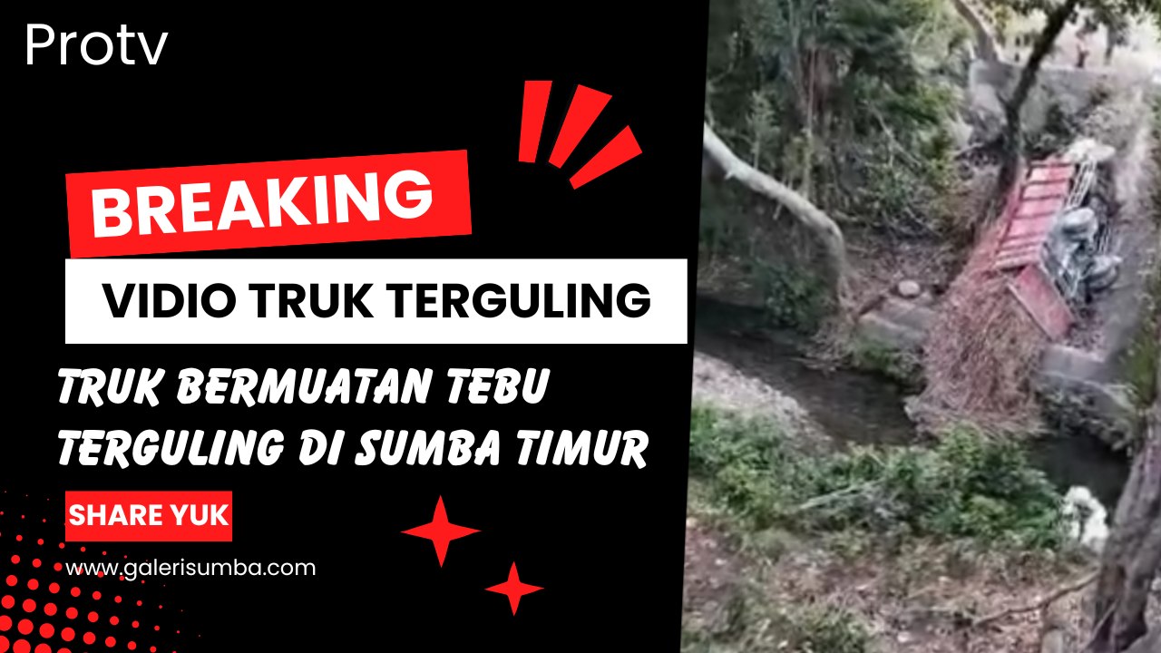 Kecelakaan Lalu Lintas di Jembatan Tattung, Sumba Timur, Truk Bermuatan Tebu Terguling