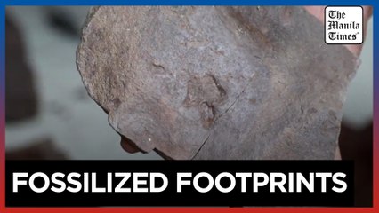 Small dinosaur footprints found in northwest China