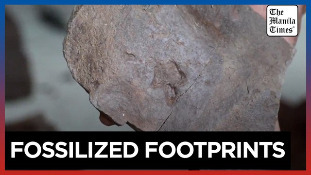 Small dinosaur footprints found in northwest China