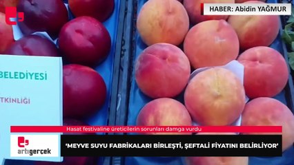 'Meyve suyu fabrikaları birleşti, şeftali fiyatını belirliyor'... Hasat festivaline üreticilerin sorunları damga vurdu | Haber: Abidin YAĞMUR