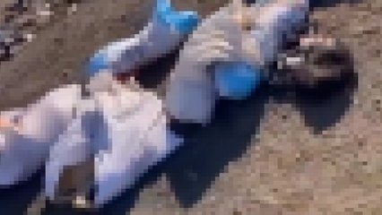 Edirne’de çuval içinde ölü köpekler bulundu