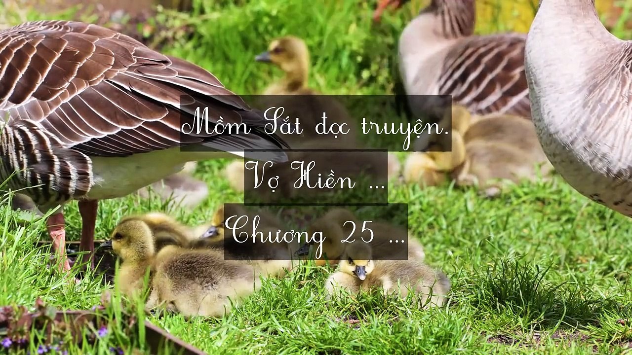 Mới 2024 Chương 22-29 (HẾT): Vợ Hiền