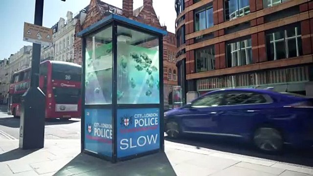 Banksy confirms swimming fish as seventh animal artwork