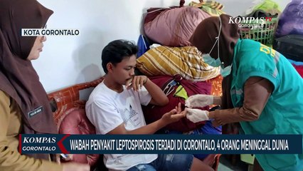 53 Kasus Wabah Leptospirosis Terjadi di Gorontalo, 4 Orang Meninggal Dunia