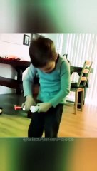 World Most Educated Bird