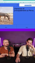 LA MINUTE CULTURE DE GÉNÉRALE #50 (Vidéo Exclusive)