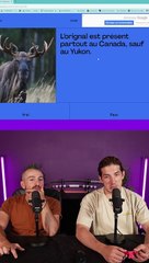 LA MINUTE CULTURE DE GÉNÉRALE #32 (Vidéo Exclusive)