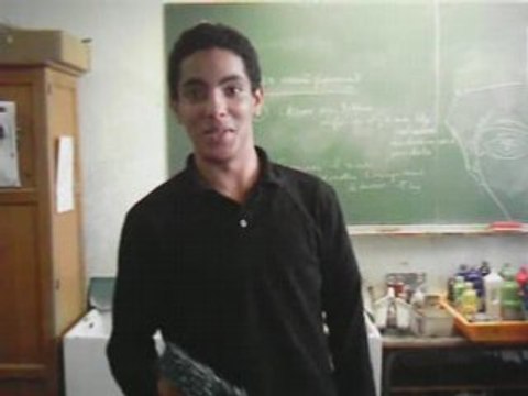 Les Petites Annonces à Georges Brassens (Peintre)