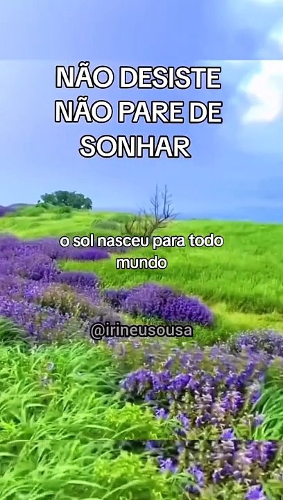 Não pare de sonhar