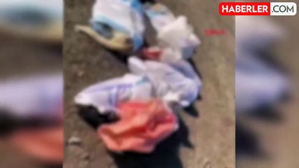 Uzunköprü Belediyesi'ne ait çöplükte ölü köpekler bulundu