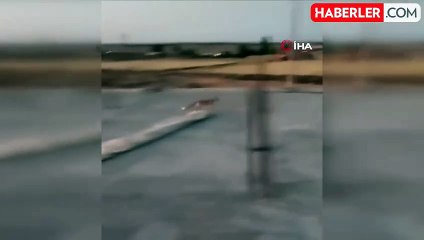 Dama çıkan tilki ile ev sahibinin ilginç anları kamerada