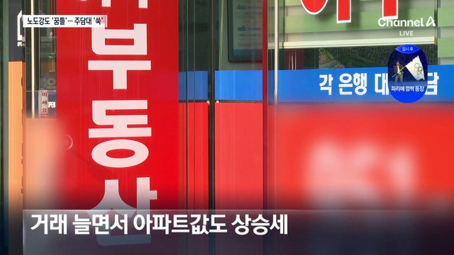 노도강도 꿈틀…주택담보대출 증가폭 2배