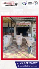 Lifeline Packers and Movers in Gandhinagar, Ahmedabad