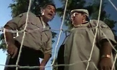 Ver NEGOCIO DE MONOS  Película para ver en FAMILIA completa en español