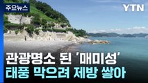 태풍에 밭 잃고 쌓은 제방이 관광 명소로...거제 '매미성' / YTN