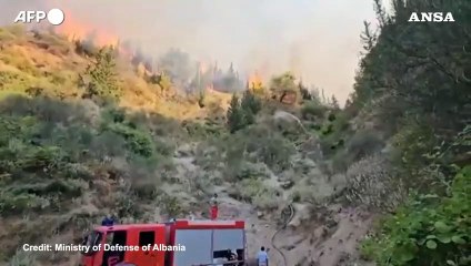 Albania,  gii incendi devaatano il paese