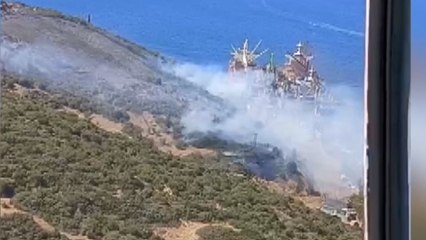 İzmir’in Aliağa ilçesinde orman yangını