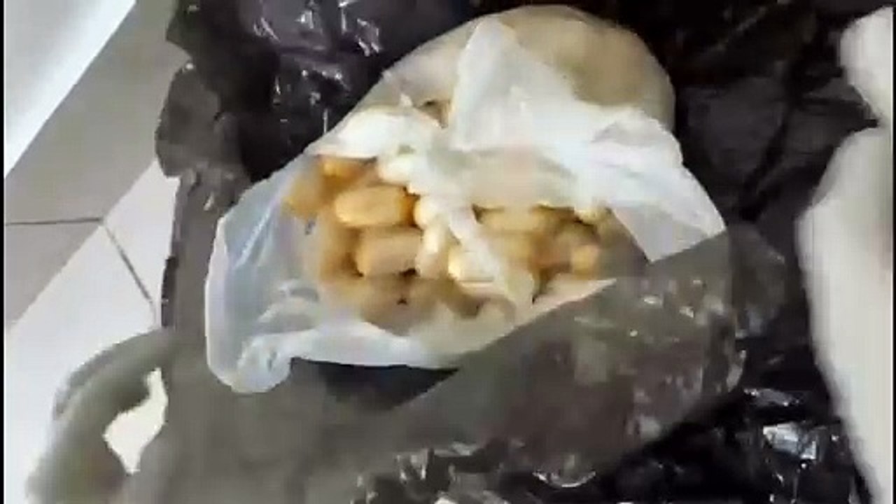 Arrestan nigeriano iba a Francia con el estómago “lleno de cocaína”