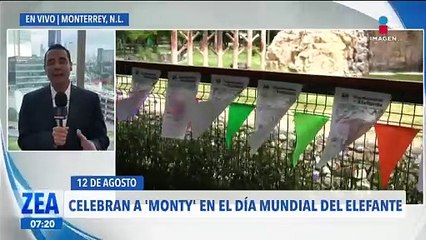 Arman festejo por los 18 años del elefante Monty en Nuevo León