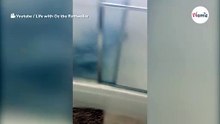 Kobieta sama w domu nagle słyszy wodę płynącą w łazience. Kiedy otwiera drzwi, nie wierzy własnym oczom!