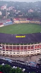 Top 10 facts about Cricket!