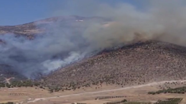 Manisa’nın Alaşehir ilçesinde orman yangını