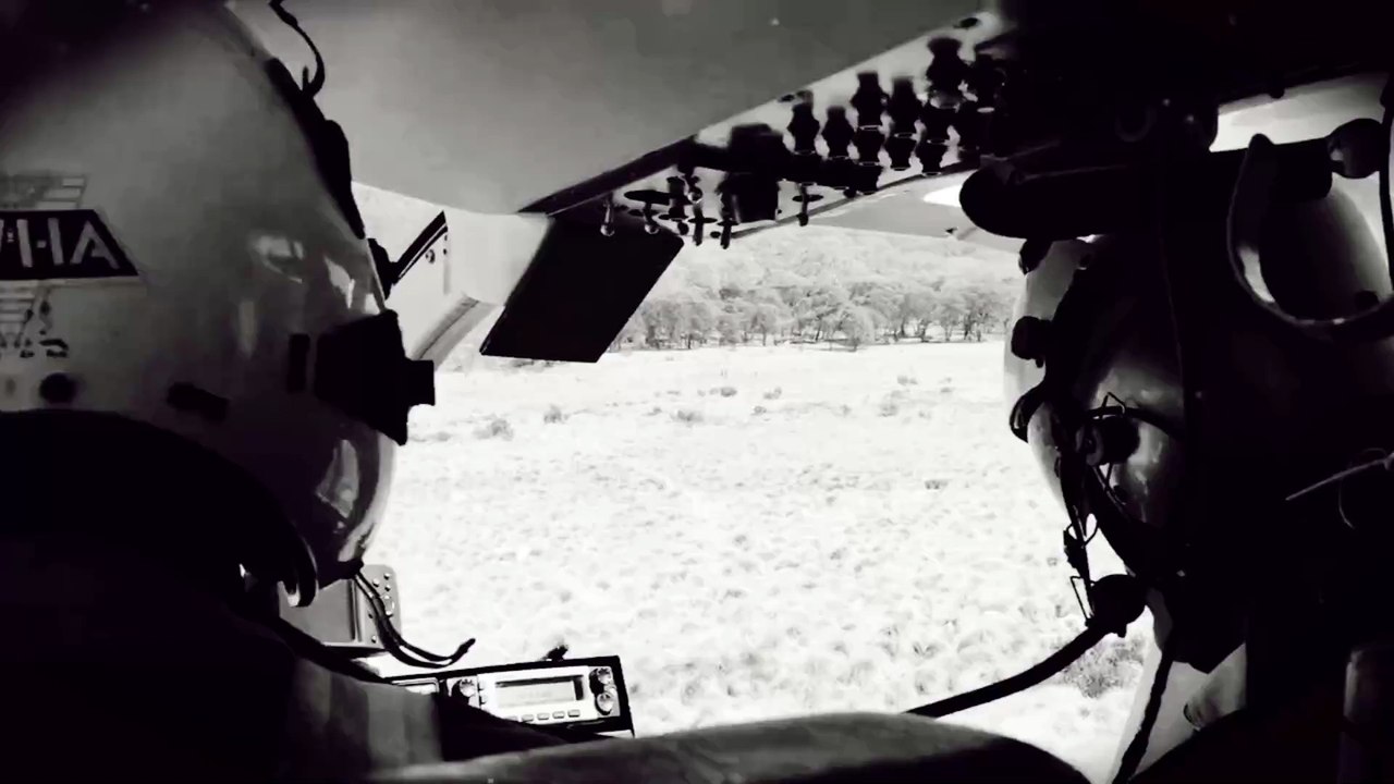 Zion Cyber Army - Eli Copter (Electronic | Experimental) | Music video