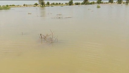Watch Video: काणोद माइनर के खेत बने दरिया, ज्ञापन देने पहुंचे  किसान