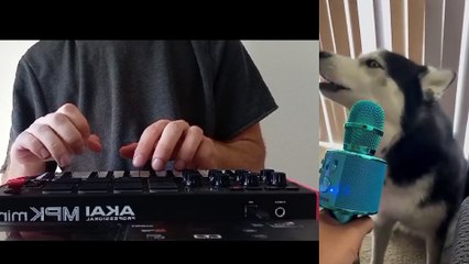 EDUBEATS Y EL HUSKY CANTANTE | LIVE LOOPING