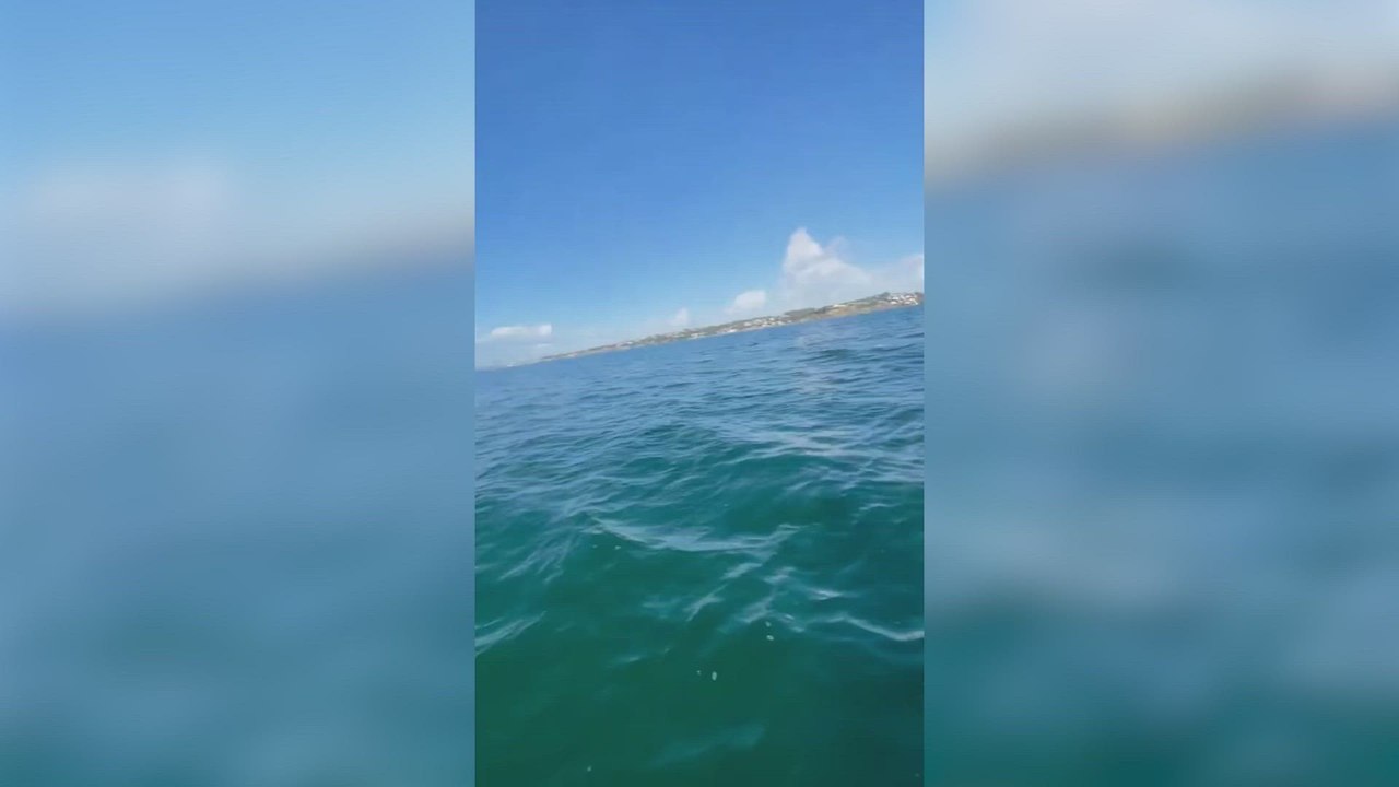 Una mujer es amenazada por varias orcas mientras hace paddle surf