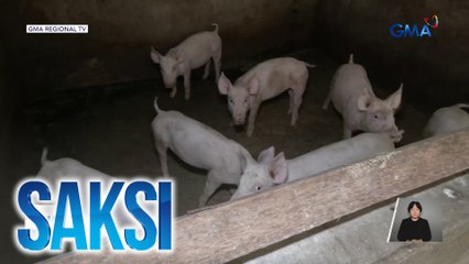 DA, walang nakikitang problema sa supply ng karneng baboy; wala ring dahilan para magtaas-presyo | Saksi