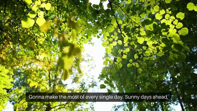 Dreaming of your love #Music #CoverSong #LiveMusic #MusicVideo #PopMusic #HipHop #IndieMusic #EDM #MusicArtist #NewMusic