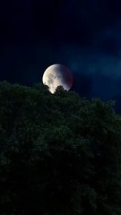 When times are tough, remember.