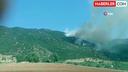 Nazilli'de makilik yangını söndürme çalışmaları devam ediyor