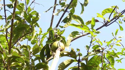 10 Best Homemade Tools You All are Want see That