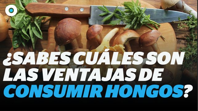Estas son las ventajas de consumir hongos I Reporte Indigo