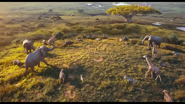 Mufasa: le roi lion Bande Annonce VF (2024, Disney) Aaron Pierre, Kelvin Harrison Jr.