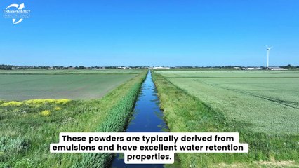 Innovations and Applications in the Redispersible Polymer Powder Market