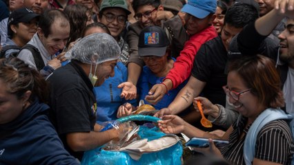 Récord Guinness de mayor variedad de sabores de tacos