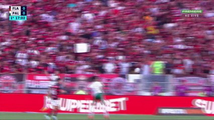 Flamengo x Palmeiras (Campeonato Brasileiro 2024 22ª rodada) 1° tempo