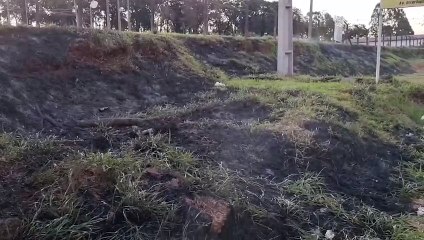 Bombeiros combatem incêndio em vegetação na Avenida Piquiri