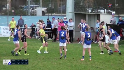 BFNL 2024 round 16: Darley's last quarter goals - The Courier - August 10, 2024