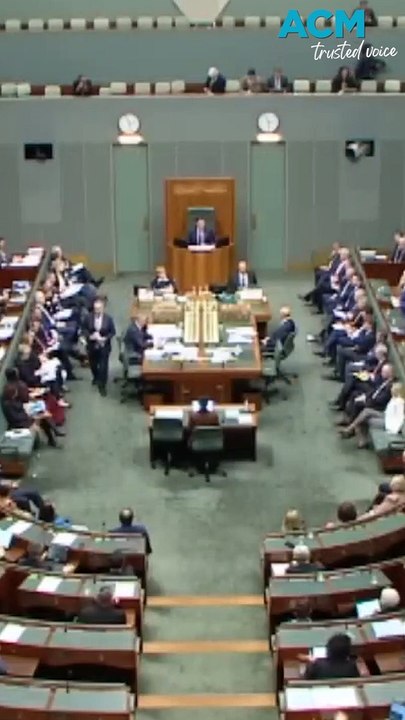 What is a coalition government?