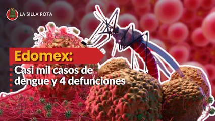 Edomex: Casi mil casos de dengue y 4 defunciones