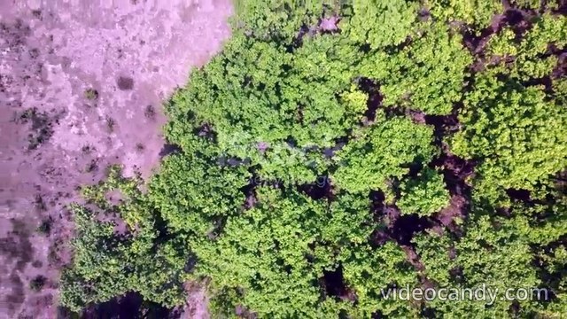 istockphoto-2156434287-640_adpp_is_merged